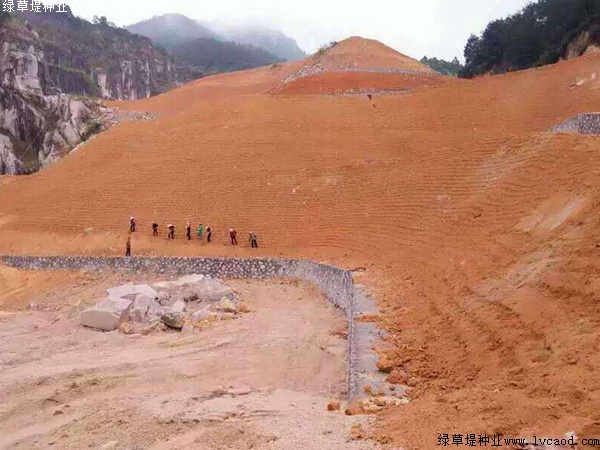 草坪在礦山復綠工程應用