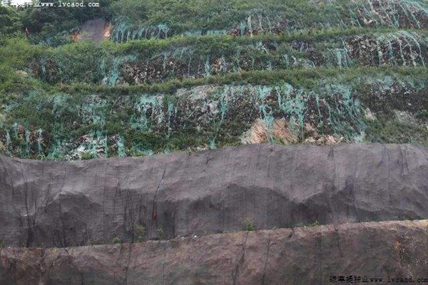 草坪在石山復(fù)綠工程中的應(yīng)用