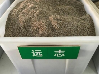 遠(yuǎn)志種子每斤有多少粒